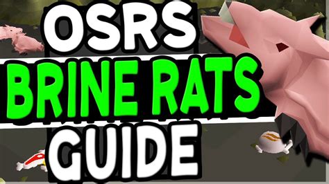 The Ultimate Brine Rats Slayer Guide Old School Runescape - YouTube