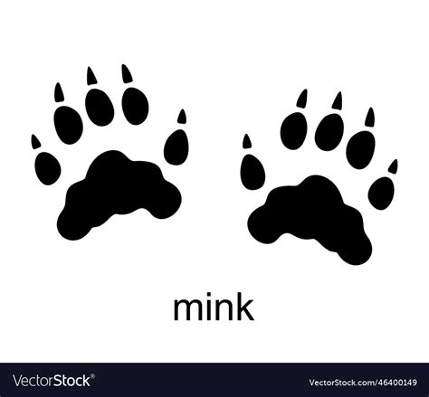 Mink track footprint ink silhouette Royalty Free Vector