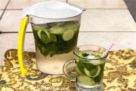 Low-Carb, Sugar-free Drinks | Healthful Pursuit