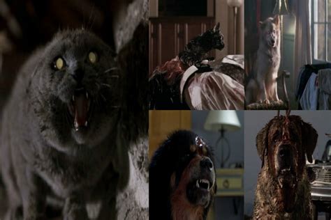 Top Ten Horrific Pets - Horror Movie - Horror Homeroom