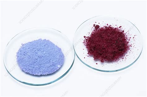 Anhydrous and hydrated cobalt chloride - Stock Image - C050/4826 ...