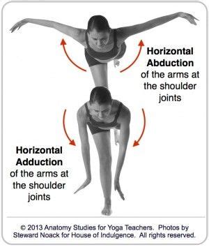 Abduction In Anatomy - Anatomy Reading Source