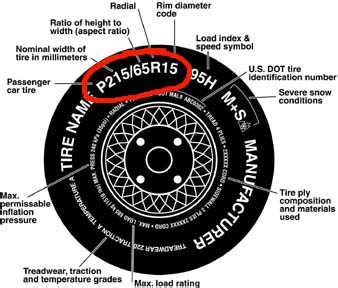 Size Guide