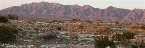 Things to do in Twentynine Palms | Fairfield Inn & Suites Twentynine Palms