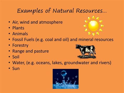 PPT - NATURAL RESOURCES PowerPoint Presentation, free download - ID:2630567