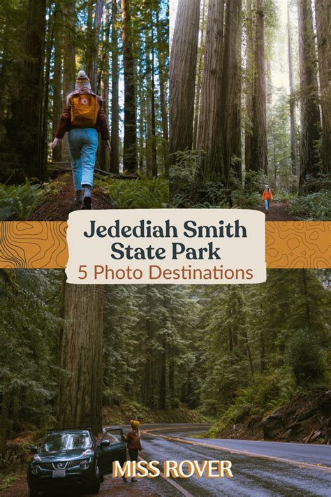 Jedediah Smith State Park: Best Hiking Spots for Photos of Redwood Trees » Miss Rover