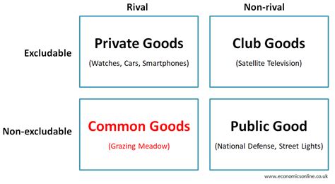 Understanding the Tragedy of the Commons with Examples