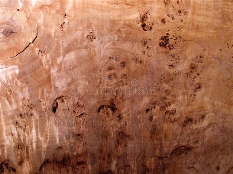 Mahogany Wood Grain Large Plank Stock Image - Image of design, nature: 30838211