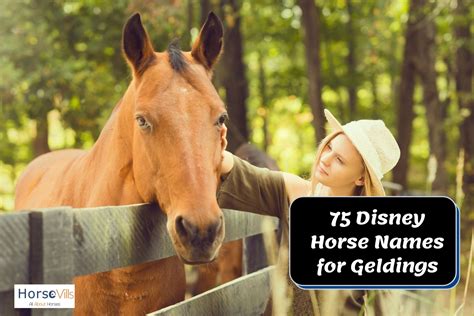 Disney Horse Names: 400+ Ideas for Stallions, Mares & Foals