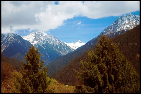 Dhauladhar Wildlife Sanctuary, Kangra | The OK Travel