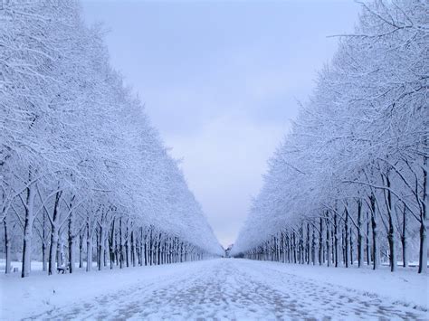 壁纸 : 树木, 景观, 性质, 科, 冰, 霜, 冷冻, 天气, 季节, 暴风雪, 大气现象, 冬季风暴, 雨雪混合 2048x1536 ...