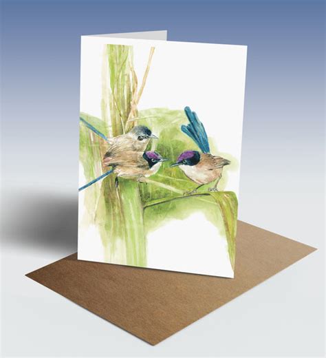 Purple-crowned fairy-wren greeting card – WA Naturally