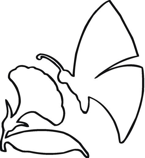 Butterfly Outline Drawings - ClipArt Best