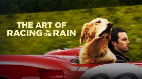 “The Art Of Racing In The Rain” Coming Soon To Disney+ (US) – What's On Disney Plus