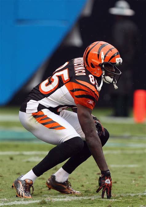 Cincinnati Bengals: Chad Ochocinco Will Be Back in 2011 | News, Scores ...