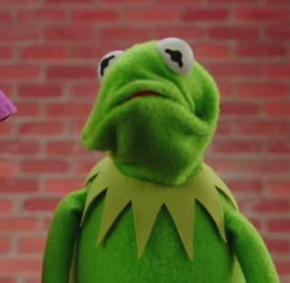 The Kermit Scrunch Face Appreciation Thread | Muppet Central Forum