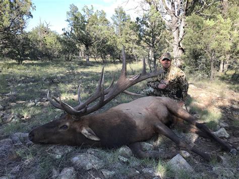 Video of my 2020 bull elk harvest | Long Range Hunting Forum