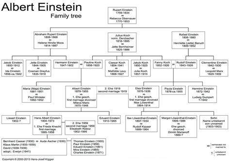 Am I An Einstein | Do You Share Einstein's Genes? | Free App