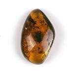 Amber Specimen Gallery with Metaphysical Healing Properties