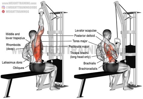 One-arm lat pull-down exercise guide and video | Weight Training Guide