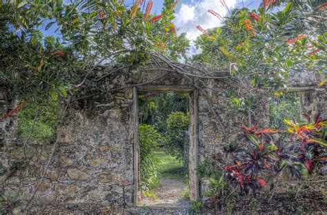 St.George Village Botanical Garden , St.Croix USVI | Carribean islands, Garden arch, Botanical ...