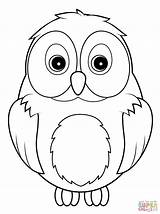 Owl Coloring Pages  Kidsuki sketch template