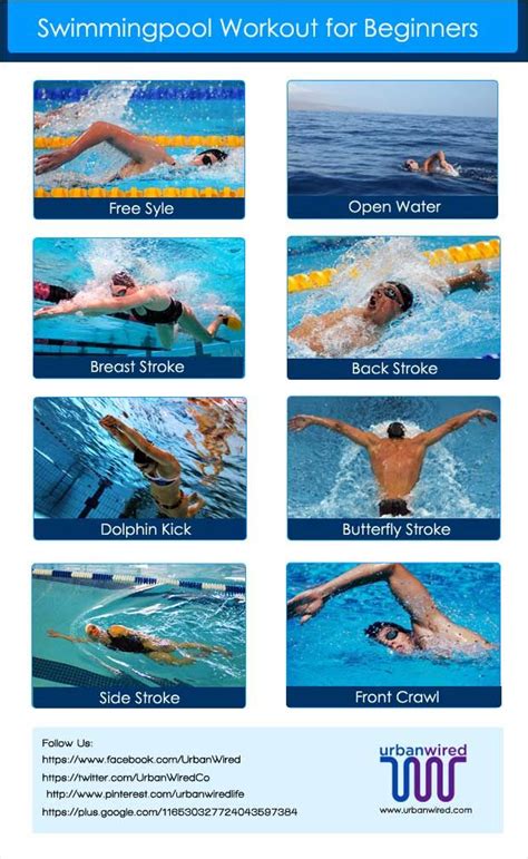 Swimming Workouts for Beginners | Swimming workouts for beginners, Workout for beginners ...