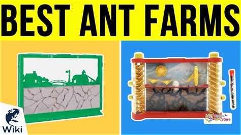 8 Best Ant Farms 2019 - YouTube