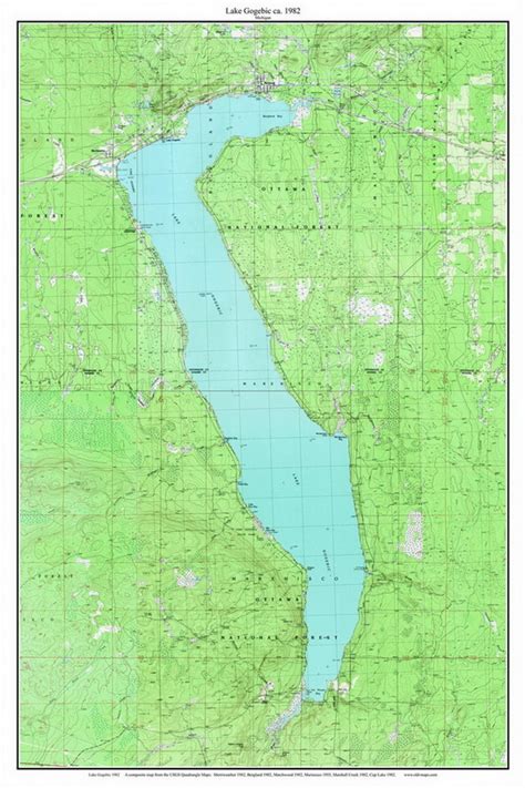 Lake Gogebic 1982 - Custom USGS Old Topo Map - Michigan 1 - OLD MAPS