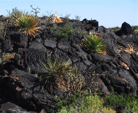 Carrizozo Malpais lava flow | Valley of Fires, New Mexico | Flickr