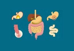 Measuring Quality Change in the Market for Anti-Ulcer Drugs - Open Access Pub