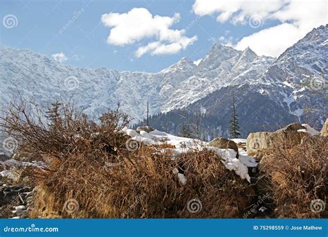 Himalayan Winter Landscape stock image. Image of manali - 75298559