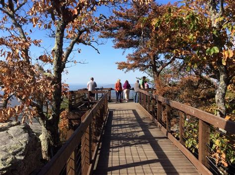 Bald Rock Lookout Cheaha Mountain | State parks, Mountain states, Park