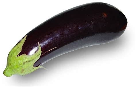 Aubergine – Gödsvinet