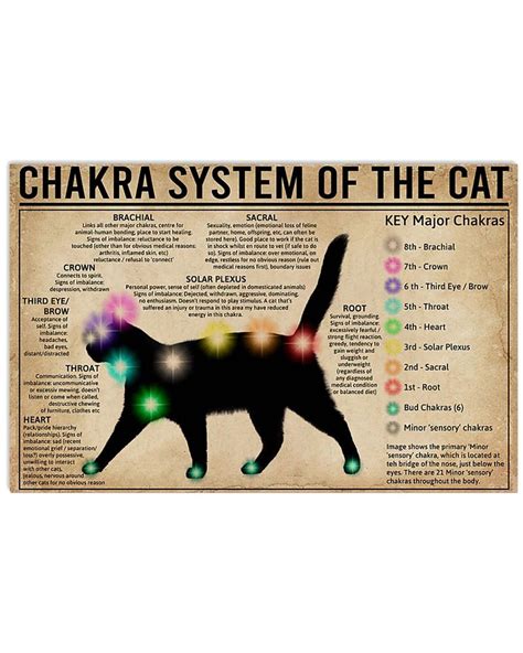 Chakra System Of The Cat Unframed , Wrapped Canvas Wall Decor - Frame ...