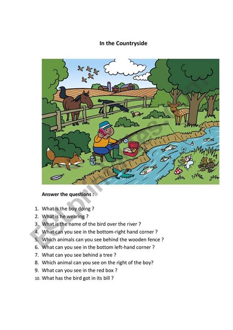 In the countryside - ESL worksheet by FRIEDA76