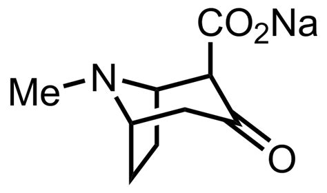 Synthesis of Cocaine by Richard Willstätter (1901)