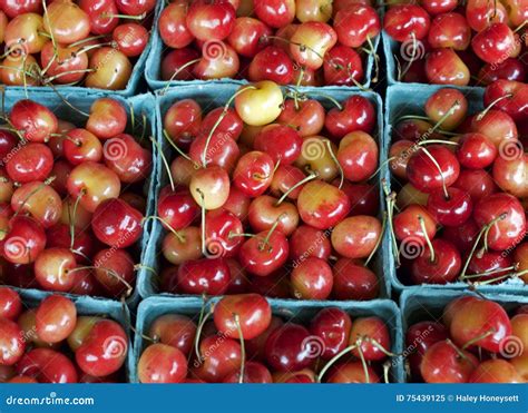 Rainier Cherry stock image. Image of market, orange, crop - 75439125