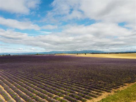 Touristic Destination in South of France, Aerial View on Colorful ...