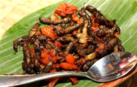 Insects as delicacy – Tempo