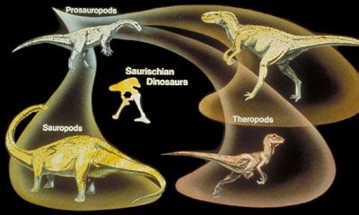 Classification - Dino Knowledge