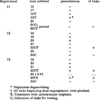 The effect of treatment of patent Babesia bigemina parasitaemia on the ...