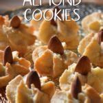 Italian Almond Cookies: A Big Batch Recipe - She Loves Biscotti