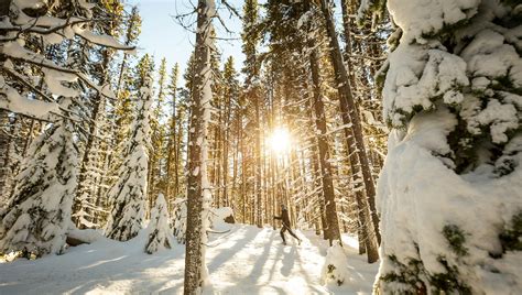 7 Amazing Winter Adventures In Jasper National Park