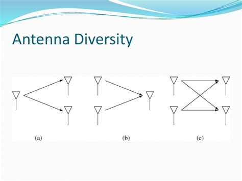 Diversity Lecture ppt download