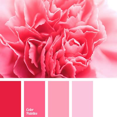 dark crimson | Color Palette Ideas