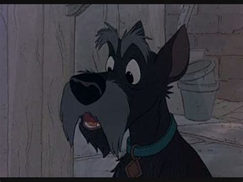 Image - Jock 1.jpg | 101 Dalmatians Wiki | FANDOM powered by Wikia