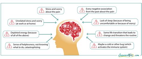 How to work with chronic pain on the level of physiology (part 1) - Sequence Wiz