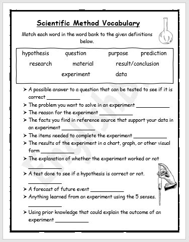 Scientific Method Vocabulary Worksheet - EnglishBix