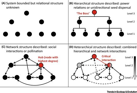 Heterarchies: Reconciling Networks and Hierarchies: Trends in Ecology ...